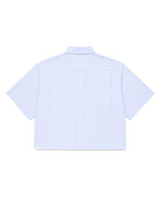 Blue Stripe Shirt